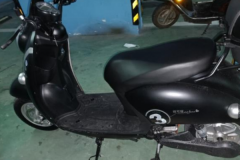 代步绵羊，你很需要！